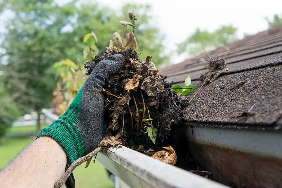 Reel Clean Home Exterior Services's Other Services Reel Clean Home Exterior Services's Other Services